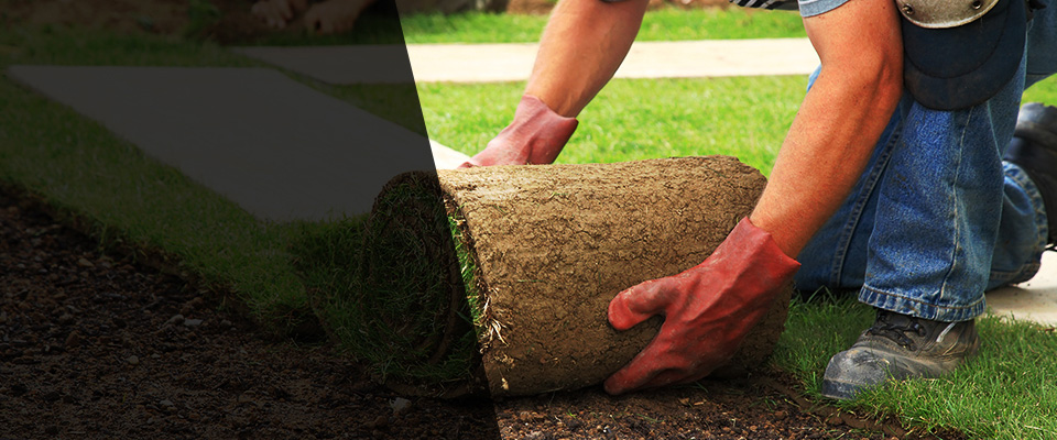 Phillipsburg Landscapers